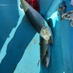 スロージギング