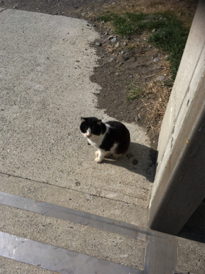 際に湧いてたやつ