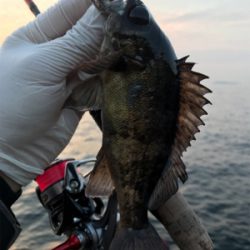 んん~(釣行 其の拾参)