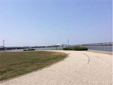 アジンガーだらけ！