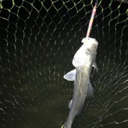 ナイトウェーディング