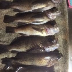 久しぶりの瀬戸内海