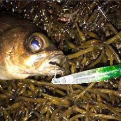 爆風の中でウェーディング