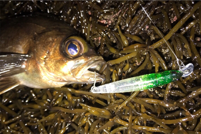 爆風の中でウェーディング