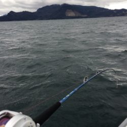 初めてのタイサビキ