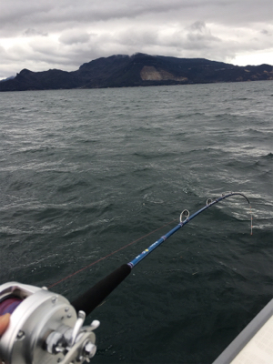 初めてのタイサビキ