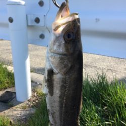 一投目でヒット