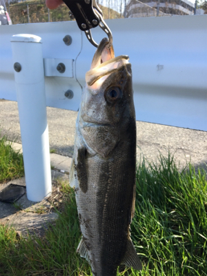 一投目でヒット