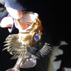 渋い、そして寒い