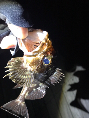 渋い、そして寒い