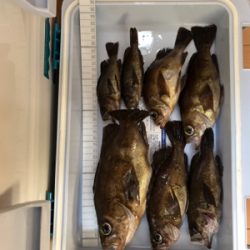 メバリング釣行