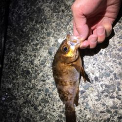 寒い中の釣行。もっと暖かいかと…