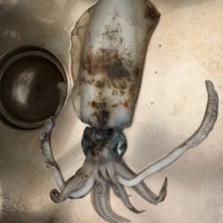 貴重な当たりを確実にGET