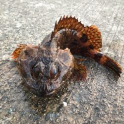 夜通し頑張って…