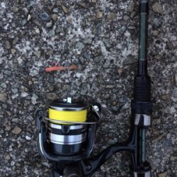 やっと釣れたぜメバル