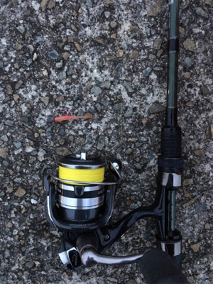 やっと釣れたぜメバル