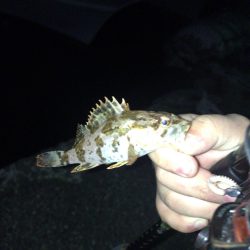 メバリング時々。。。