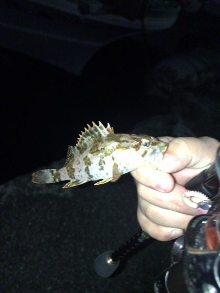 メバリング時々。。。