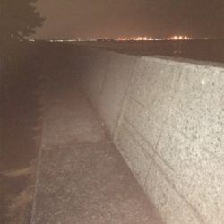 メバル狙いのつもりが…