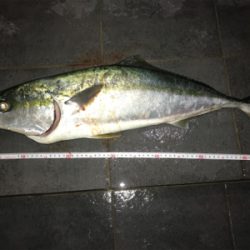 ショアプラッキング