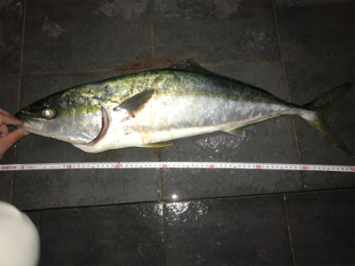 ショアプラッキング