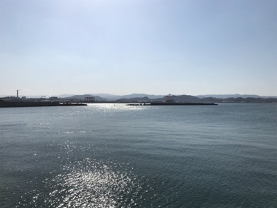 イワシまだ早かった