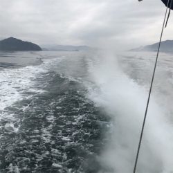 victoryⅡにてタイラバ