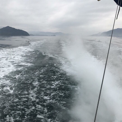 victoryⅡにてタイラバ