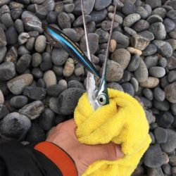 ショアプラッギング