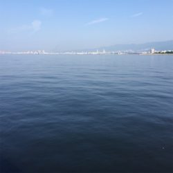 エビ撒き釣り！