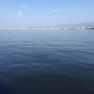 エビ撒き釣り！