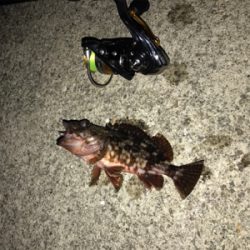 風と雨とメバリング