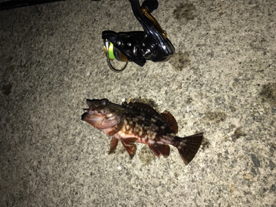 風と雨とメバリング