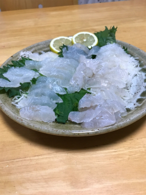 ヒラメ釣れました。
