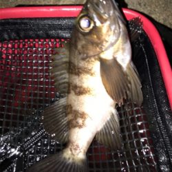 暴風釣りバカ❗️