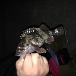 メバリングまあまあ