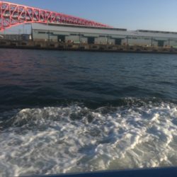 ロックフィッシュ便