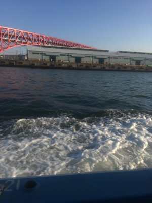 ロックフィッシュ便