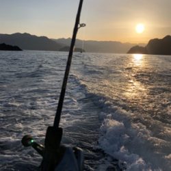 尾鷲イカメタル終盤