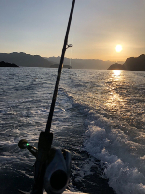 尾鷲イカメタル終盤