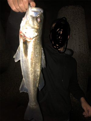 メバル狙いのはずが急遽シーバスに