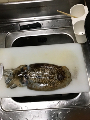 今年は少ない気が