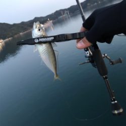 デビュー戦@福良