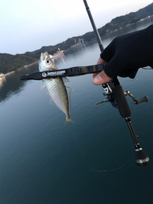 デビュー戦@福良