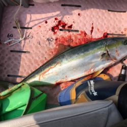 マイボートで丹後沖でジギング、タイラバ