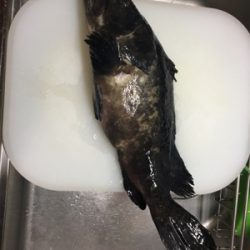 クエーーーーーー