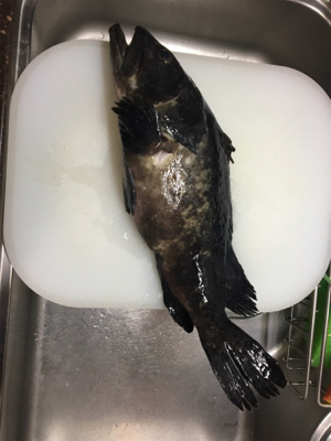 クエーーーーーー