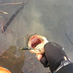 上田市にある須川湖