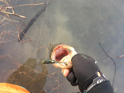 上田市にある須川湖