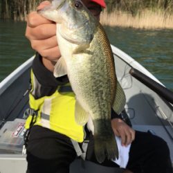 桜花トップウォーター